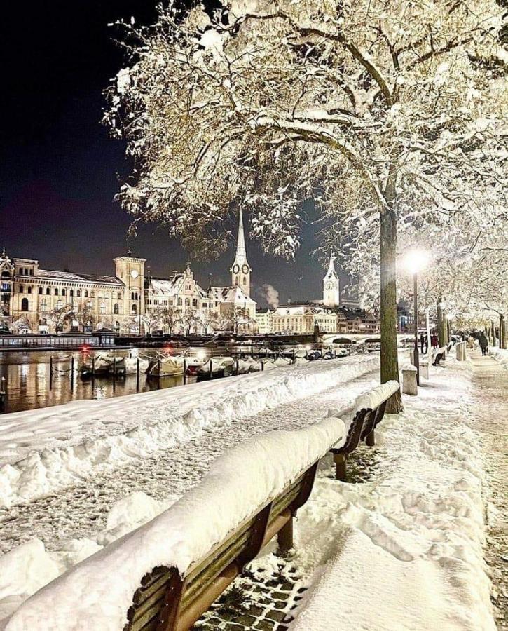 Lion Bb Swiss Lägenhet Zürich Exteriör bild