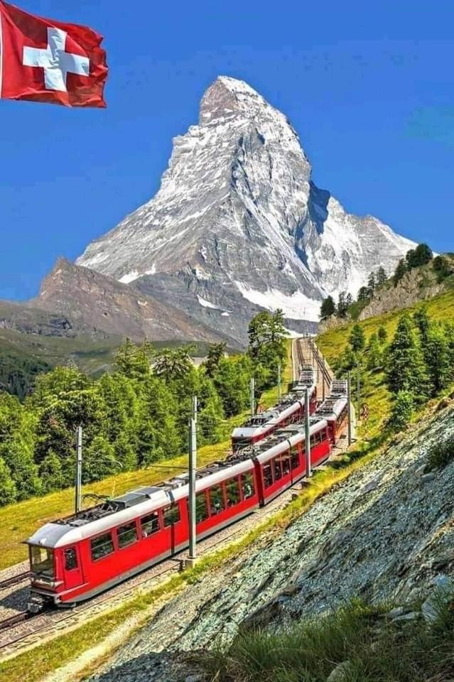 Lion Bb Swiss Lägenhet Zürich Exteriör bild